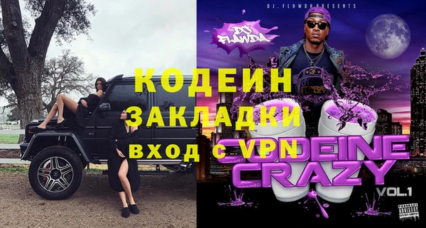 мдпв Ладушкин