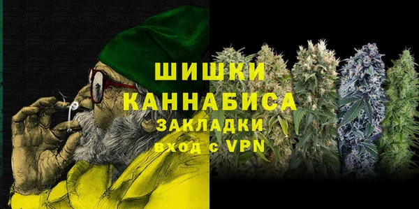 мдпв Ладушкин