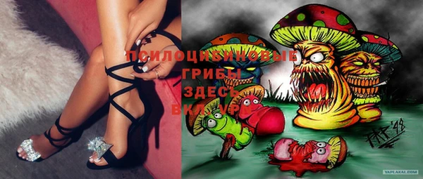 apvp Лабытнанги